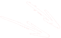 arrows